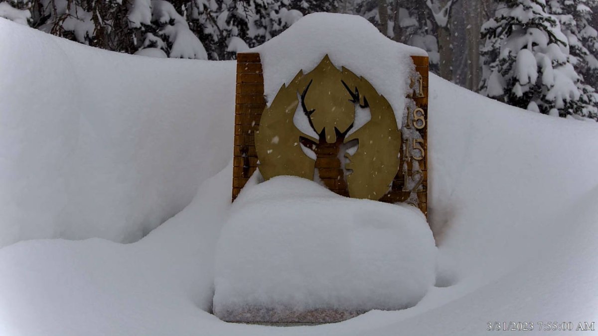 snowstake_1280x720 (13).jpg