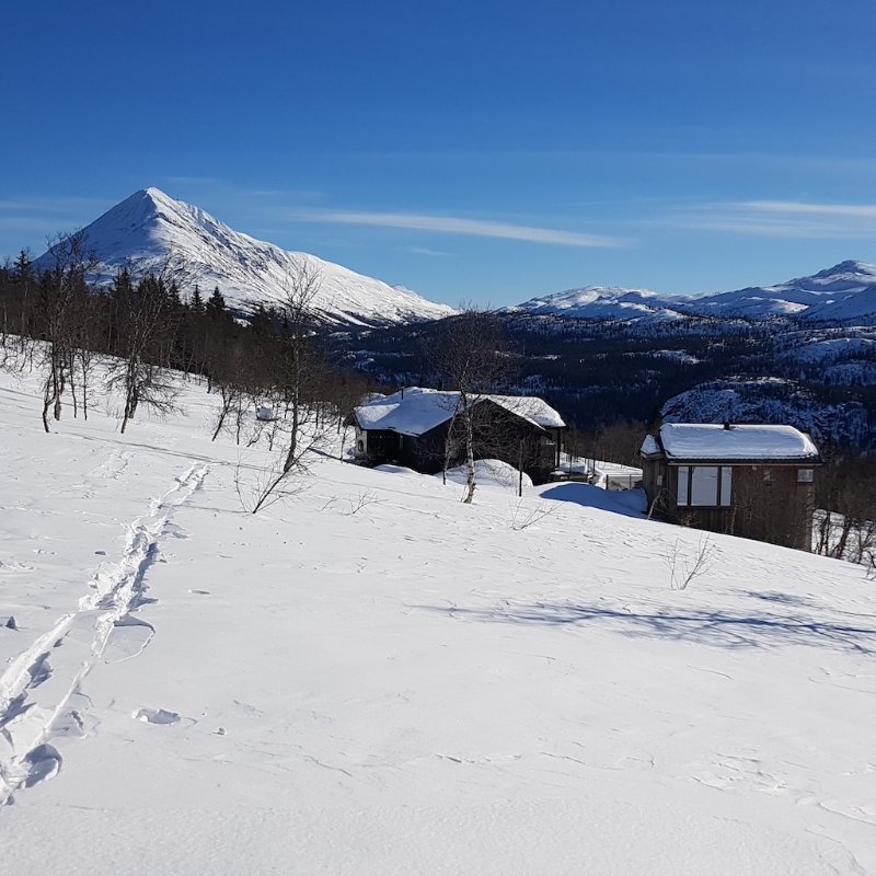 Gaustatoppen copy.jpg