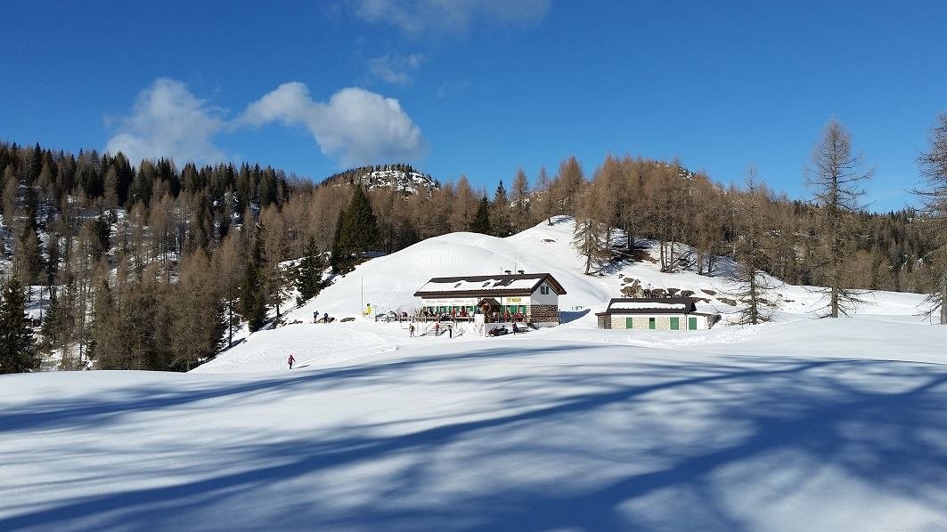 asiago.jpg