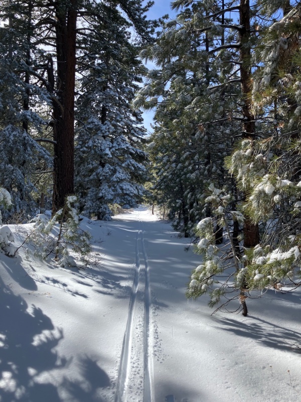 ski-trail.jpg
