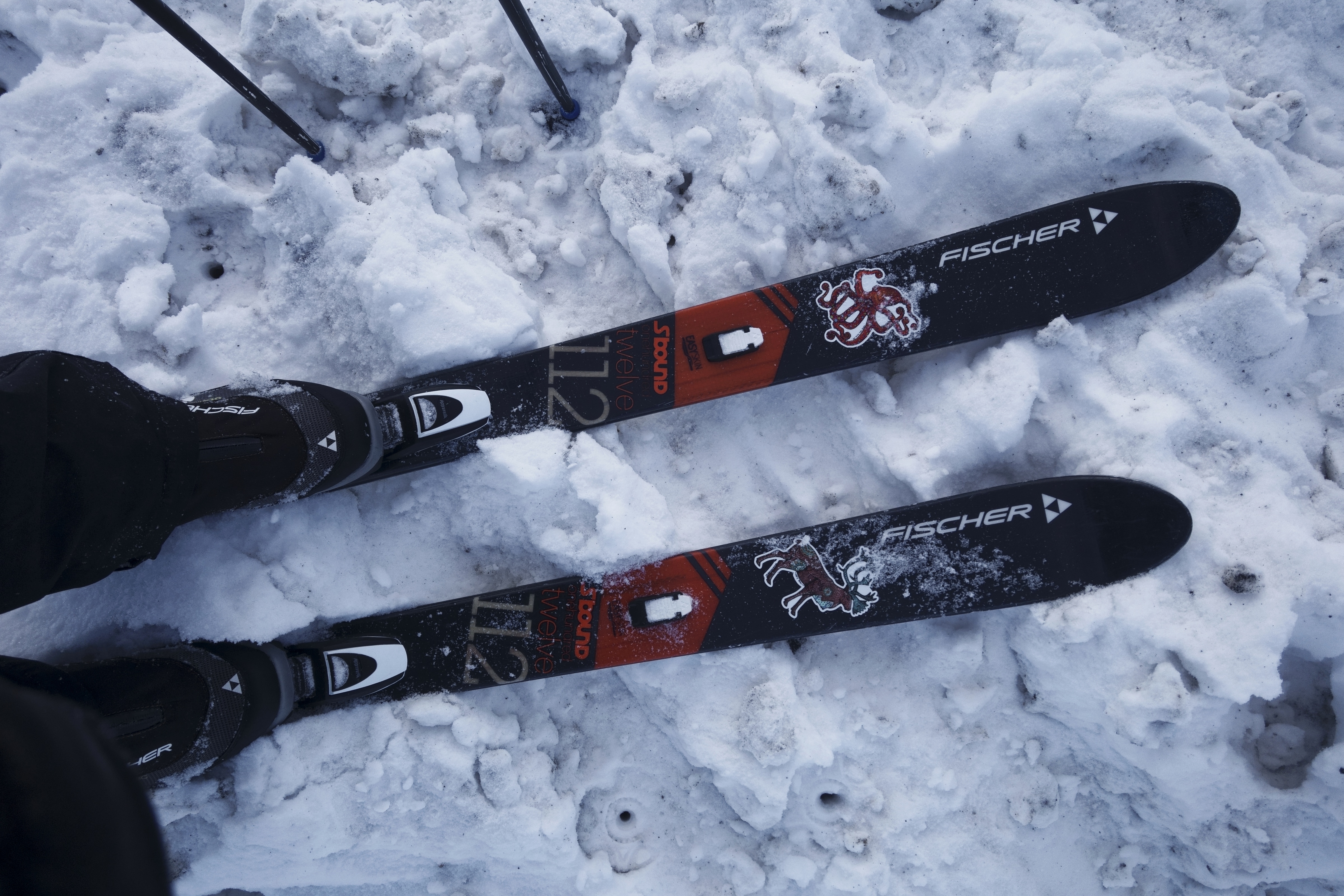 _DSC3164_DxO-01.jpeg