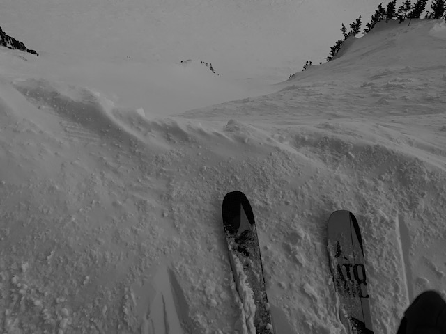 bwskis.jpg