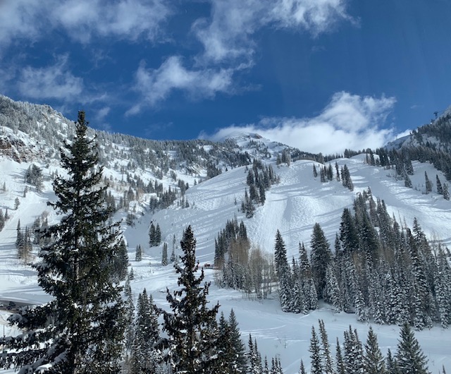 mountain sun.jpg