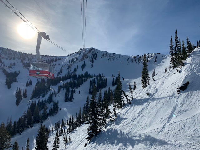 snowbird1.jpg