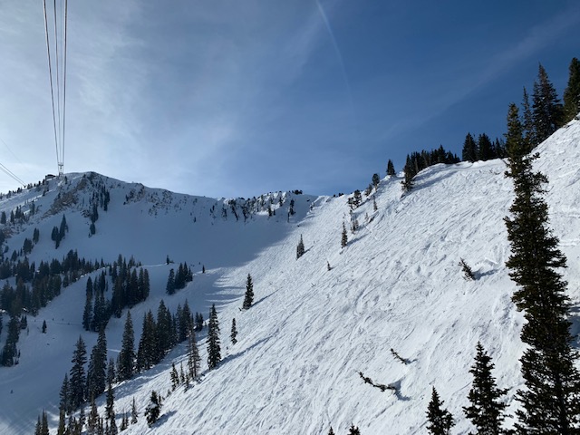 snowbird2.jpg