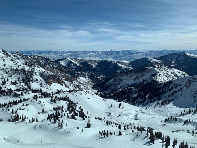 snowbird4.jpg