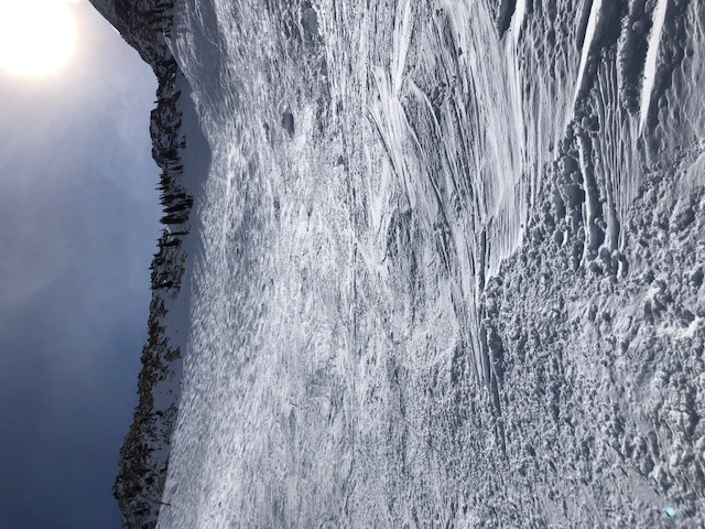 snowbird7.jpg