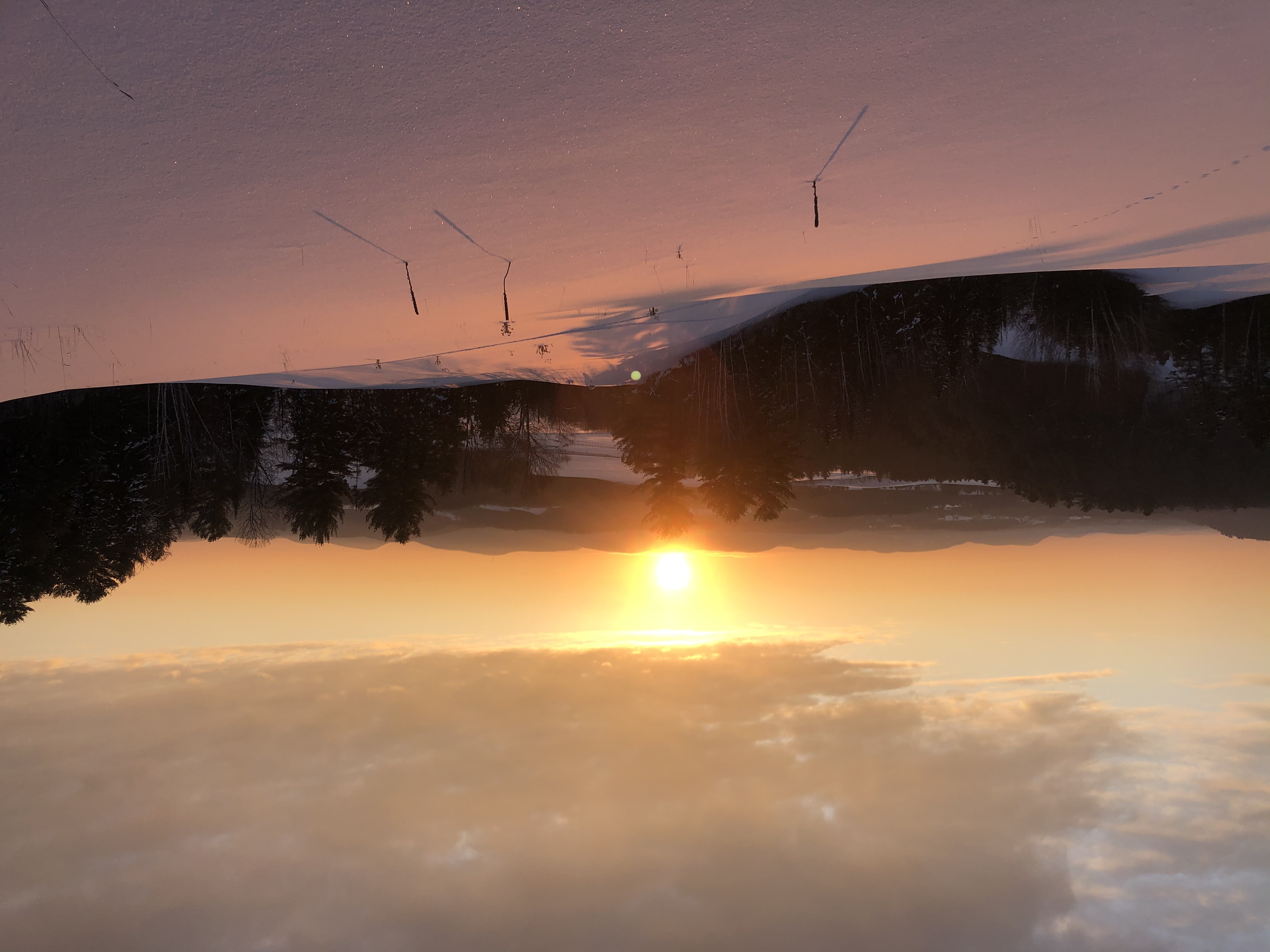 D5323E92-A37D-49D9-A8D0-594CB2922150.jpeg