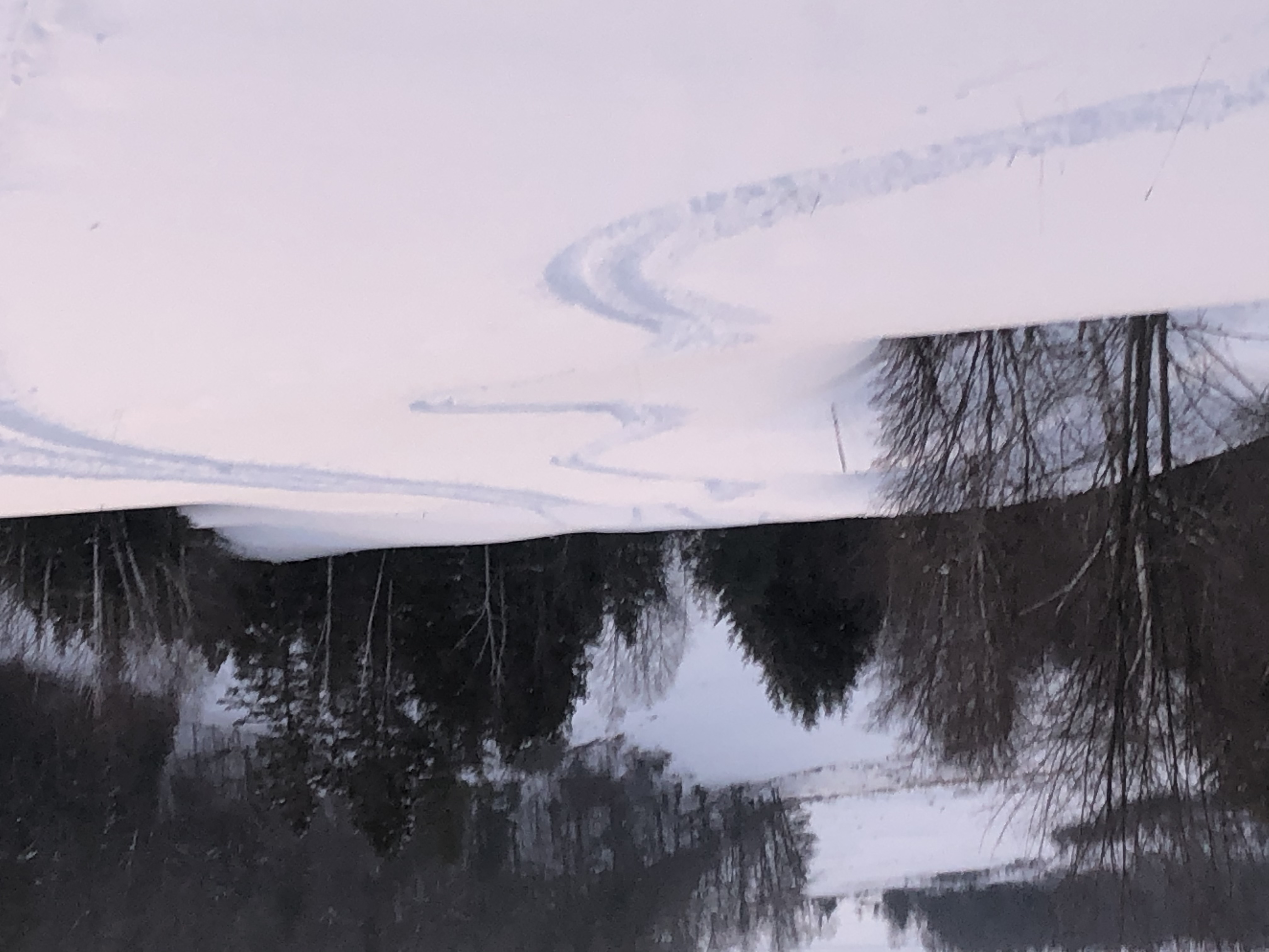 953230F9-2DF7-4A6D-B199-09F8620F59C5.jpeg