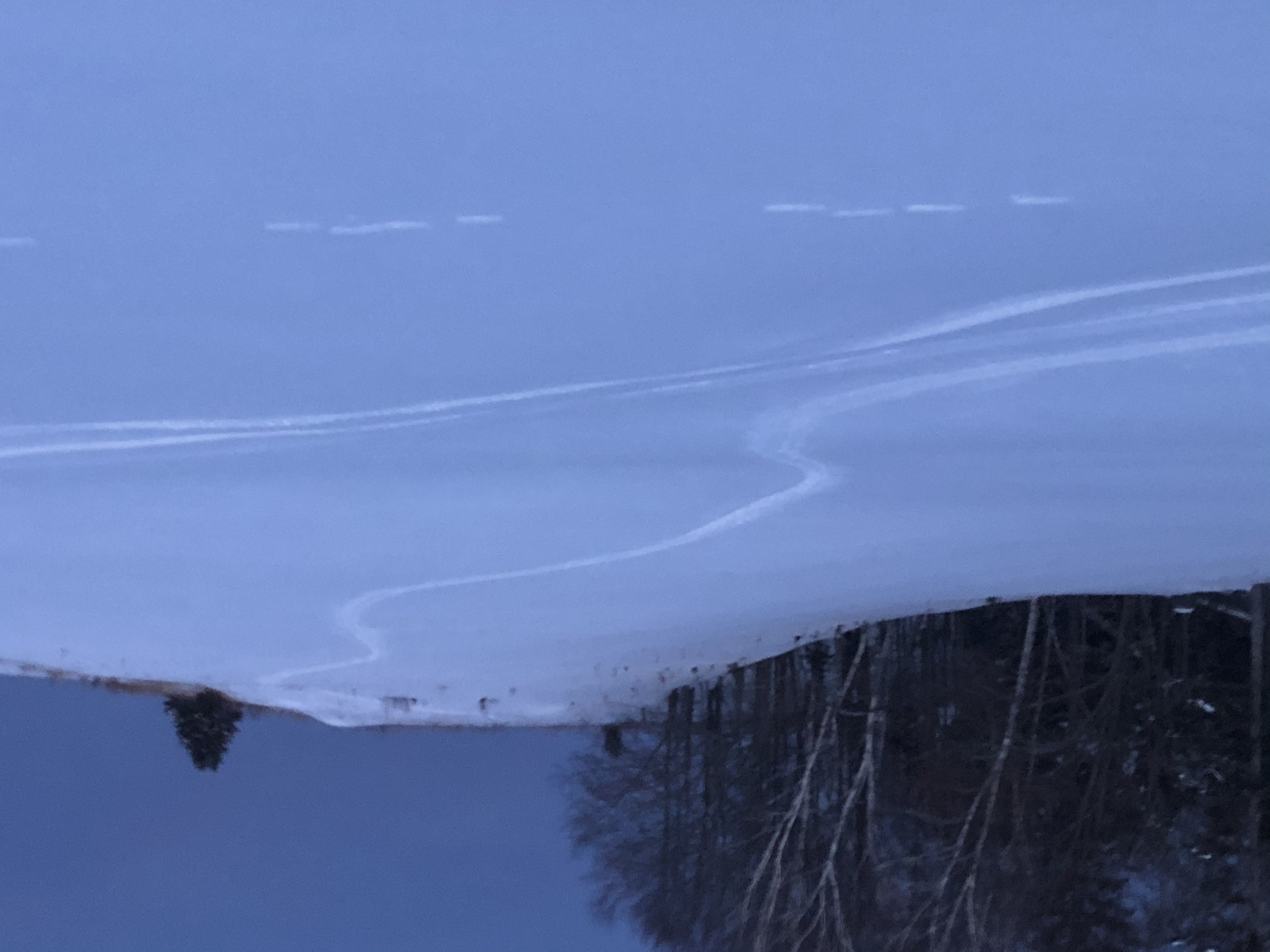 0CBC5C99-1386-464F-A7FE-DBA43F907FF4.jpeg