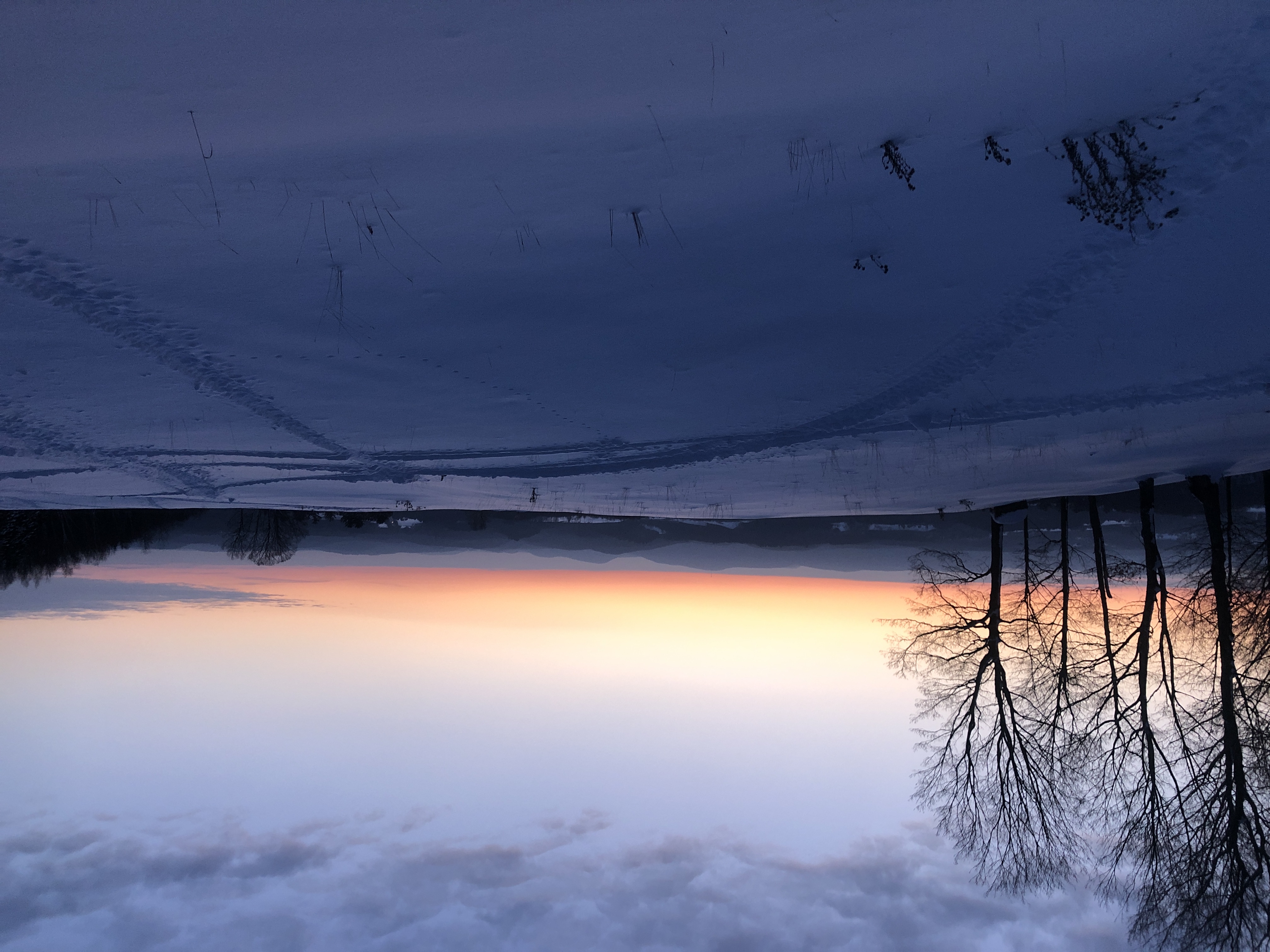 7B90A890-5B22-48EA-A24B-668DC4045D13.jpeg