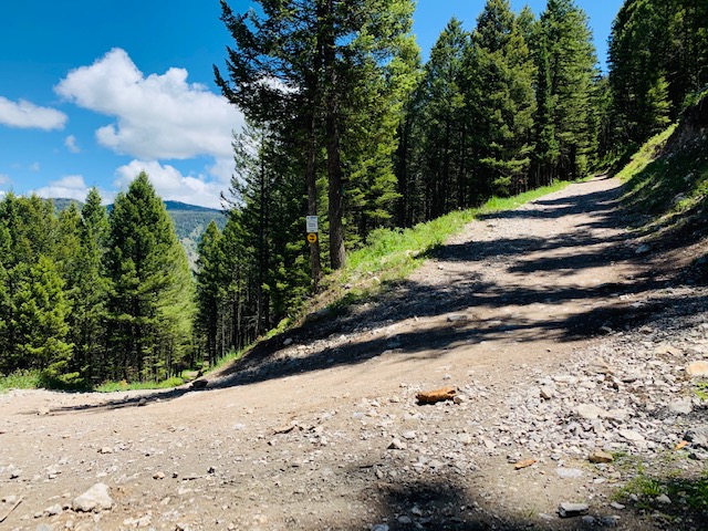 trailpic.JPG
