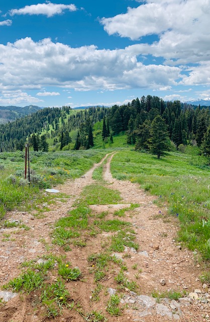 trailrun2.JPG