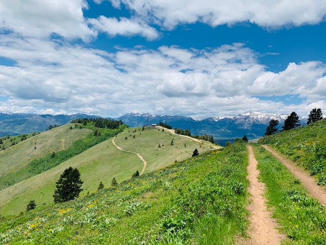 trailrun4.JPG