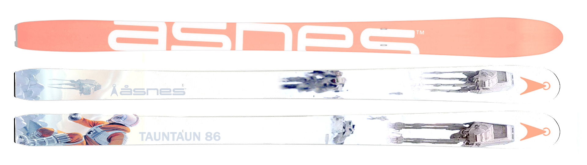 Asnes-WL-TAUNTAUN.jpg