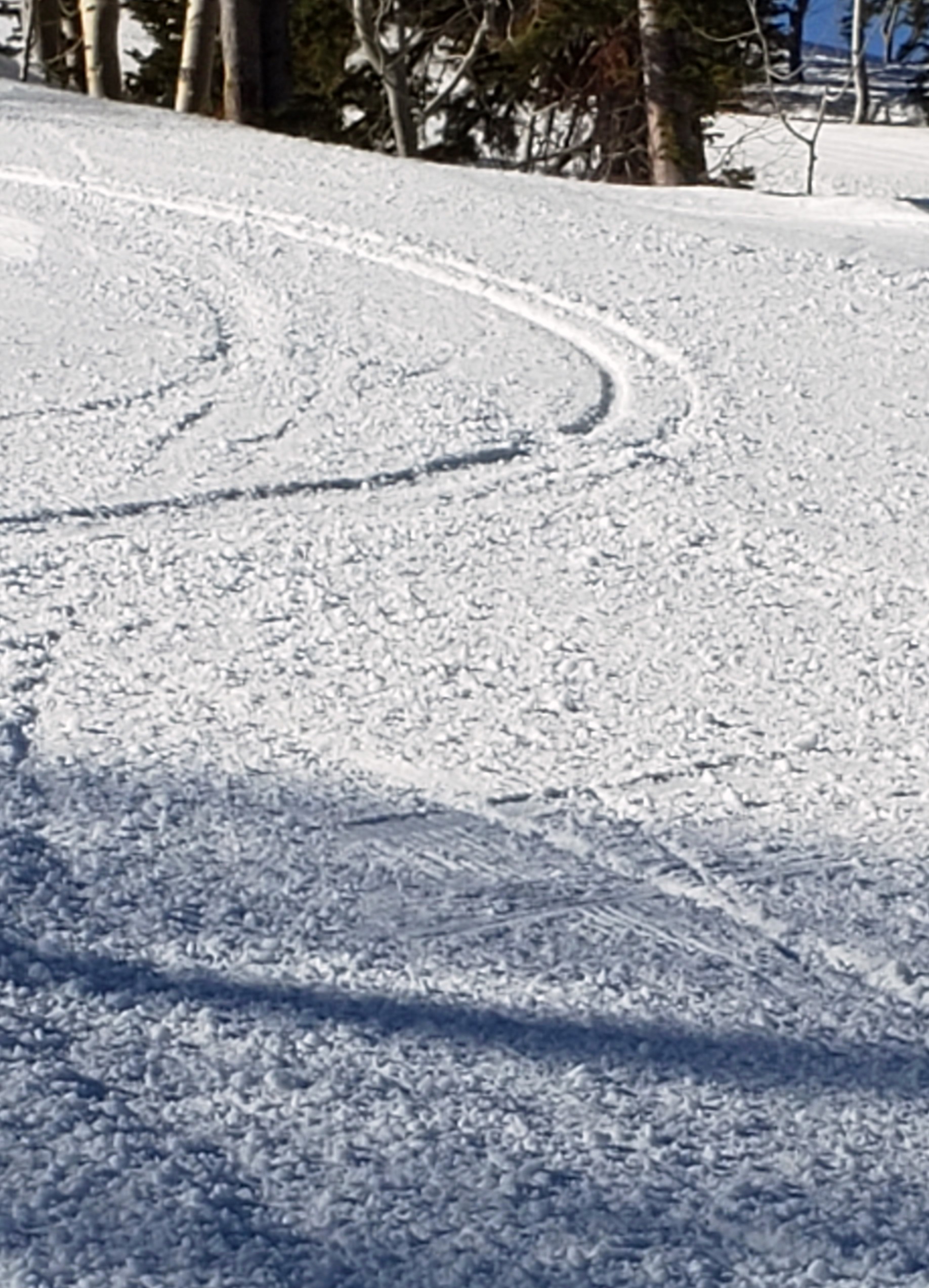 20210403_091823AA.jpg