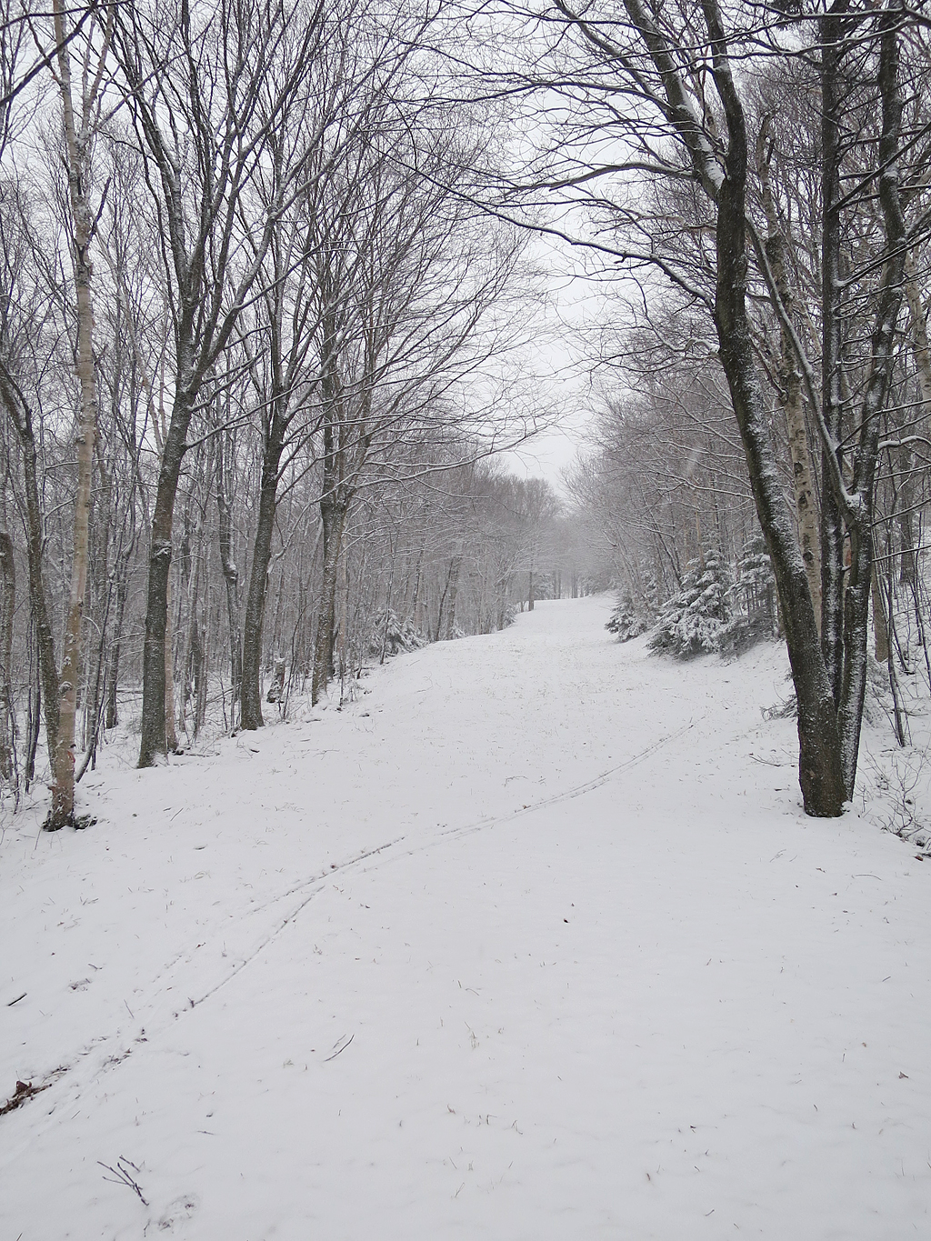 14nov-5.jpg