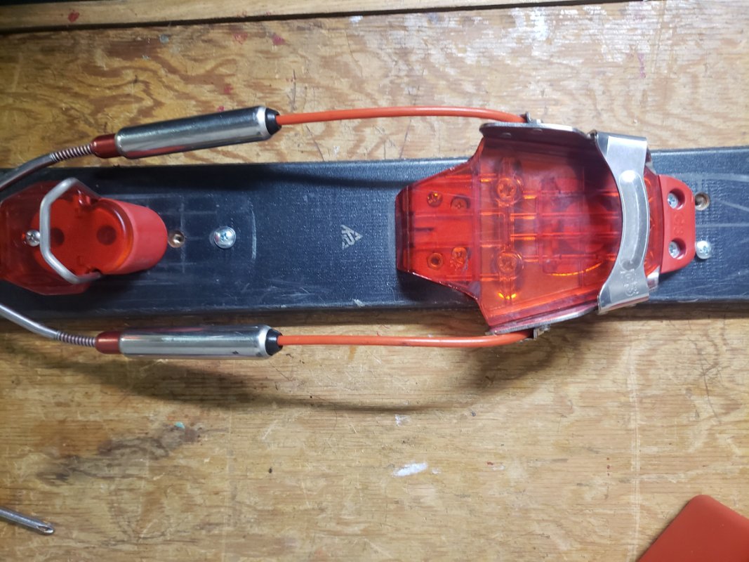 20230129_115852.jpg