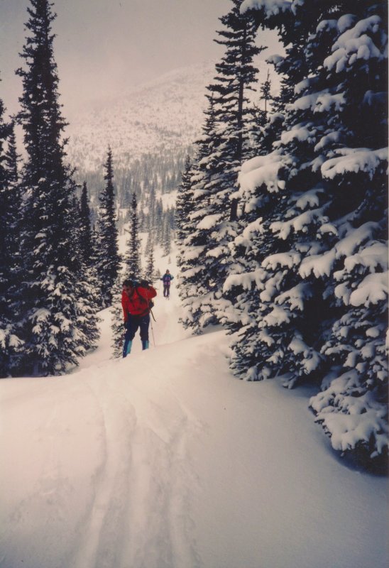 Meadow Mtn.jpg