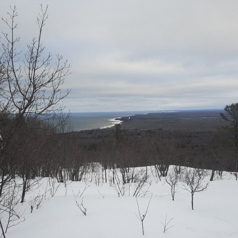 20230215_172509.jpg