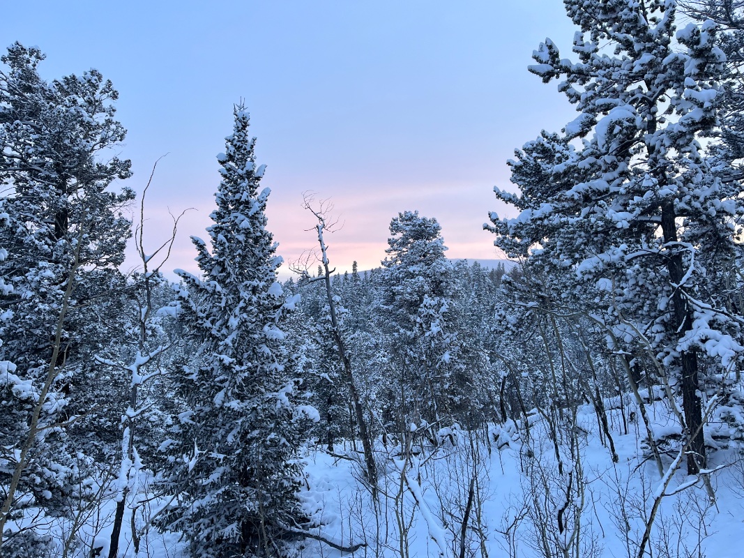 BD052499-DF51-487C-9900-2FB73A77498A.jpeg