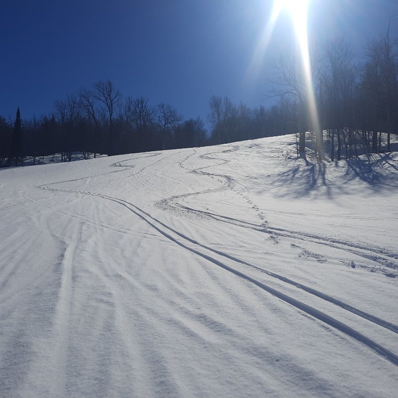 20230228_131412.jpg
