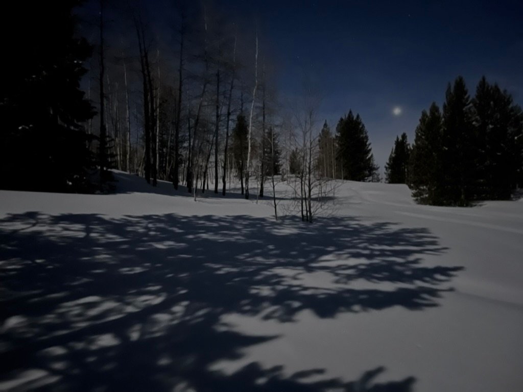 312A707D-1B69-4852-898D-6FAE57800CE9_1_105_c.jpeg