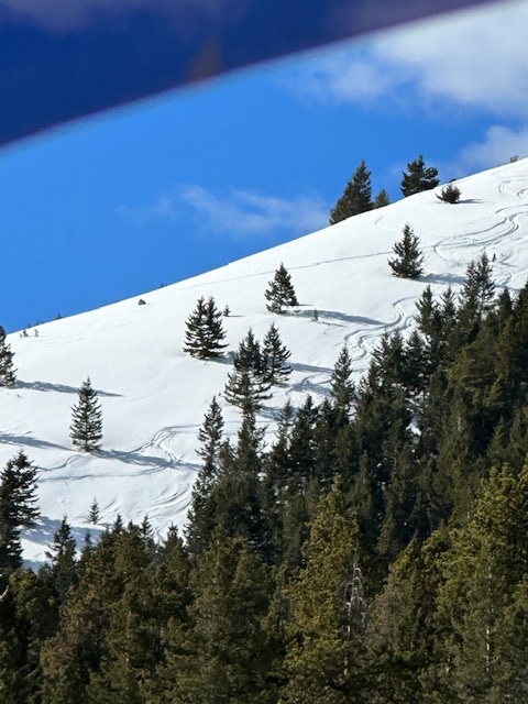 meadow ski.jpg