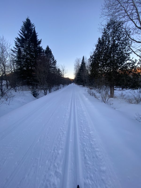 IMG_3293.jpg