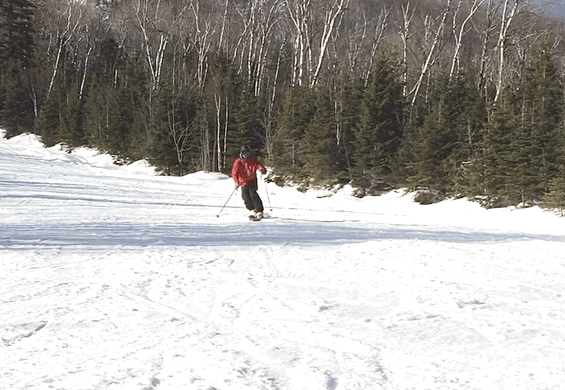 9C80C7A8-0763-4AC4-96C1-66A3D8831E01.gif