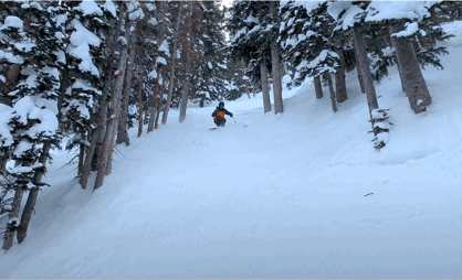 E1BB58B6-18F1-499F-9E2A-2294414F565A.gif