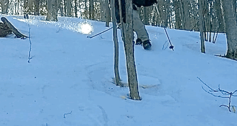 40C51E31-96C6-44C8-AE86-519823C2C28E.gif