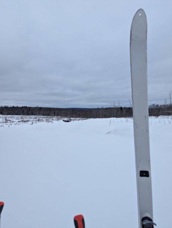 PXL_20240128_194345267.jpg