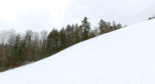 IMB_PA60qH.gif
