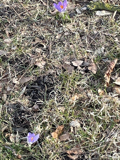 IMG_6985.jpeg