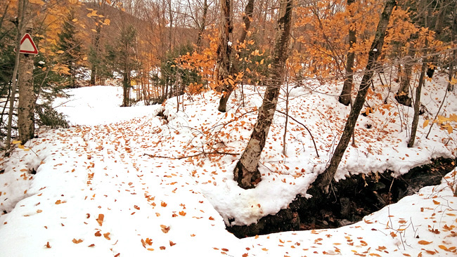 DSC_01135.jpg