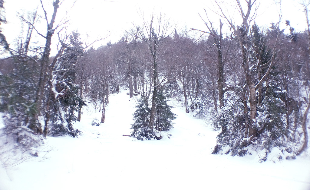 DSC_0131.JPG