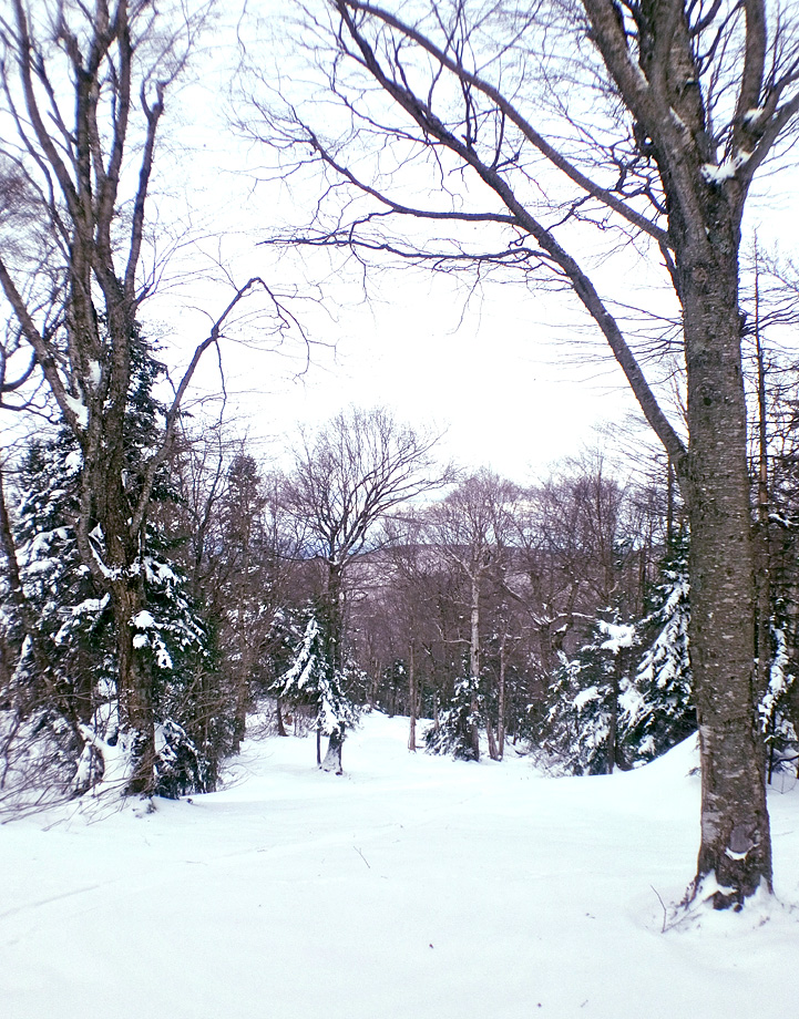DSC_0130.JPG