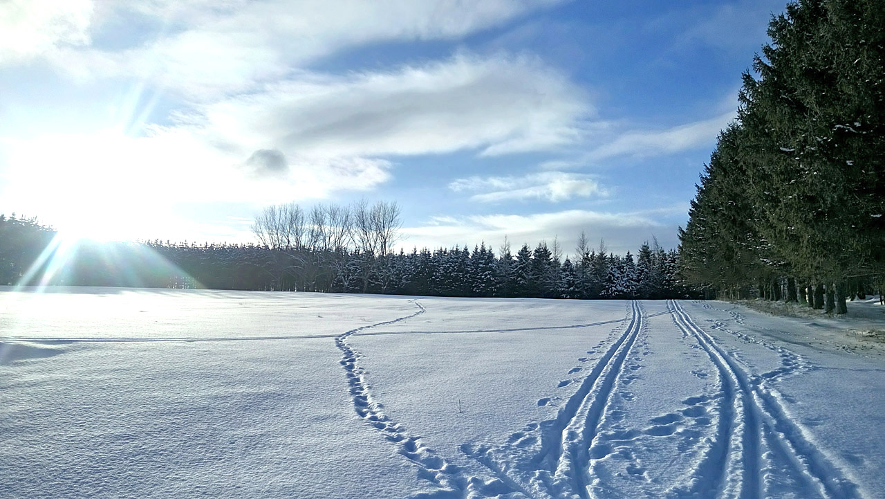 DSC_0210.jpg