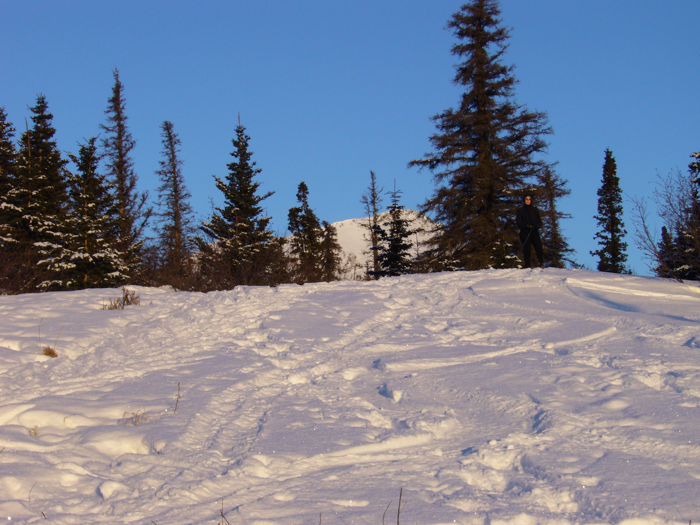 02 19 07_0774.JPG