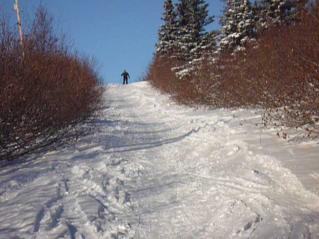 P1000287.JPG