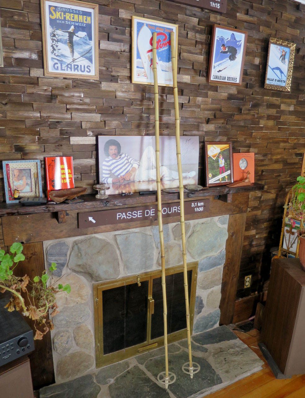 mypoles-1.jpg