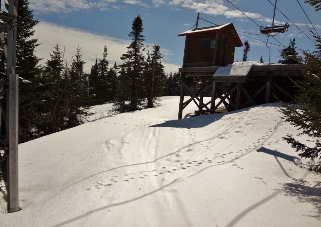 DSC03407 (1024x724).jpg