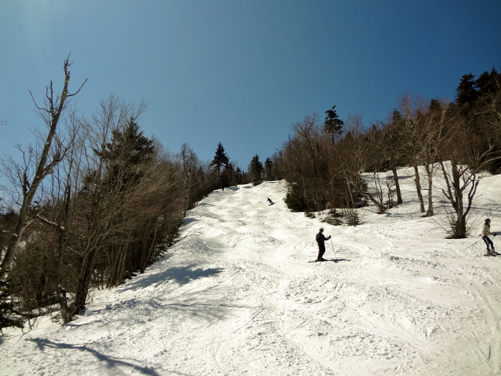 DSC03419 (1024x768).jpg