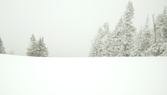 DSC_0167.JPG