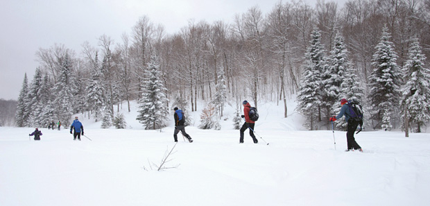 Nordic Skiing.jpg