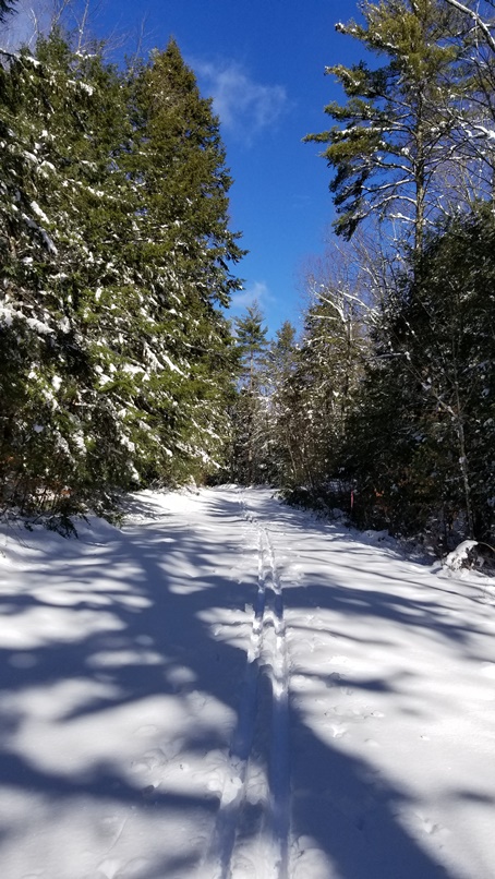 20180310_090224.jpg