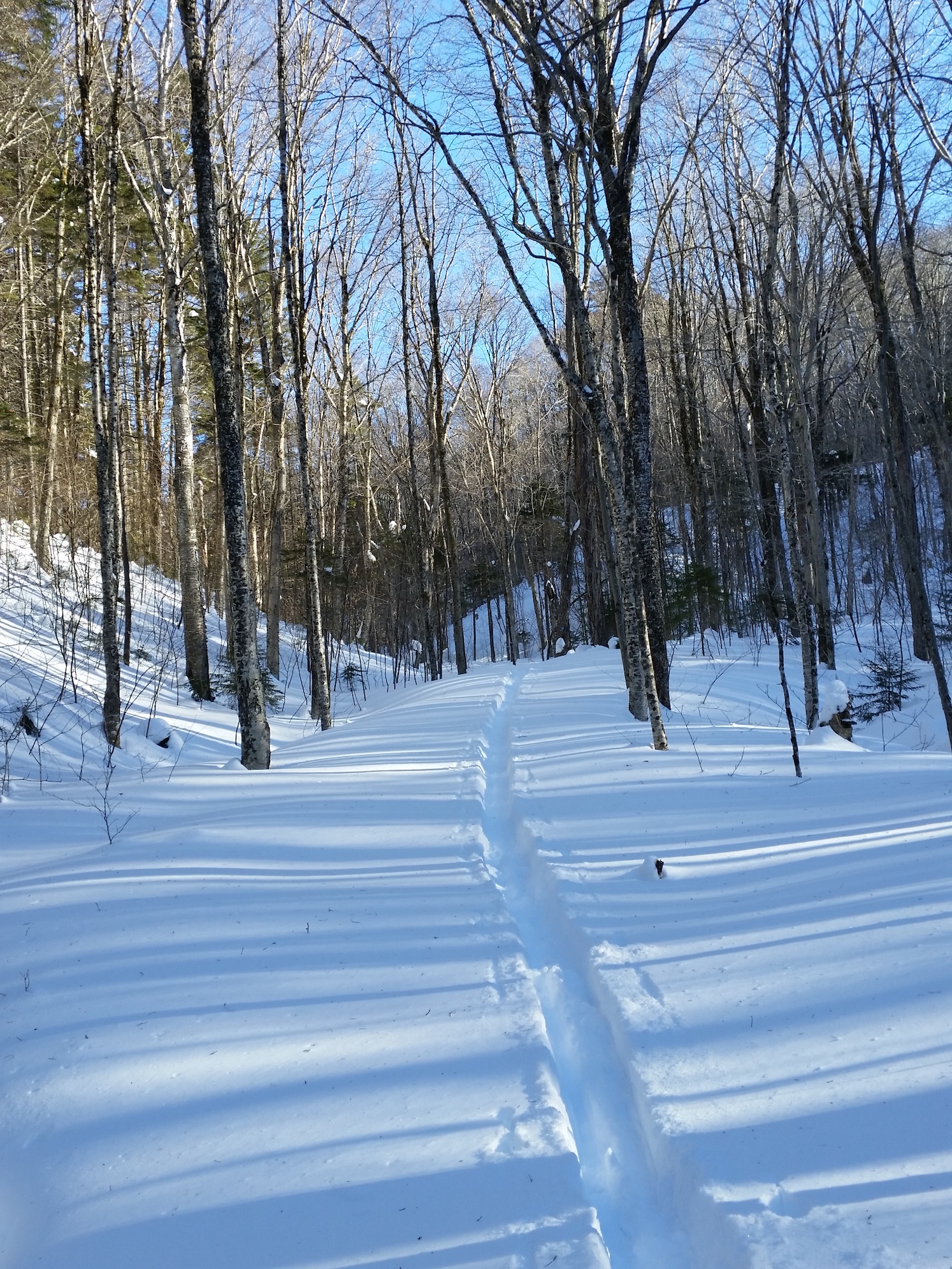 20180317_164530.jpg