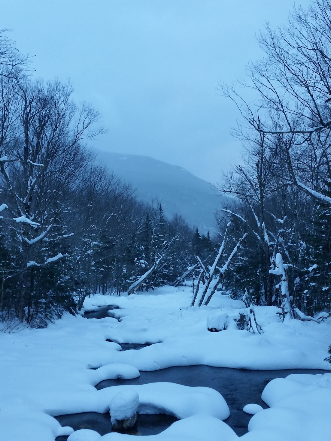 20181130_152717.jpg