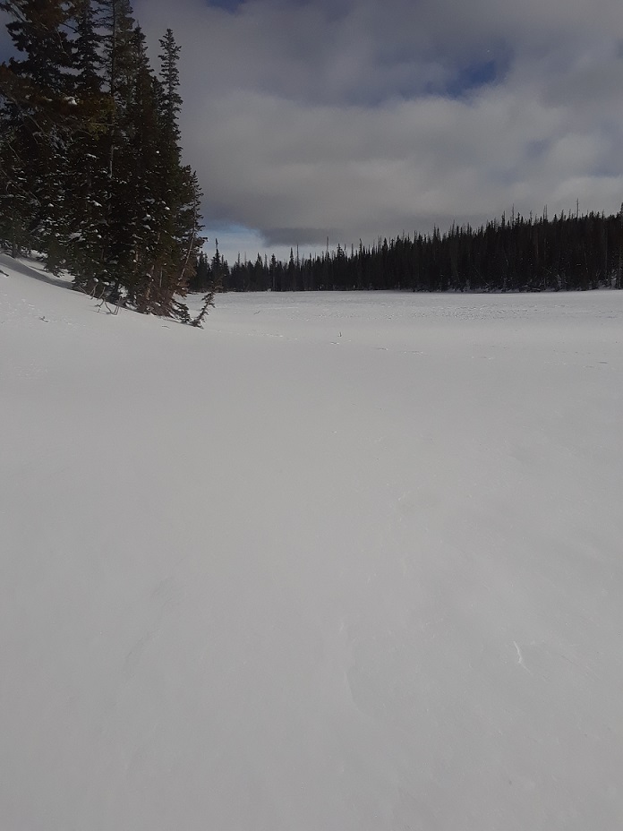 20181202_115532.jpg